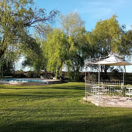 Antico Casale Dei Sogni Agriturismo Lugo  Exteriör bild