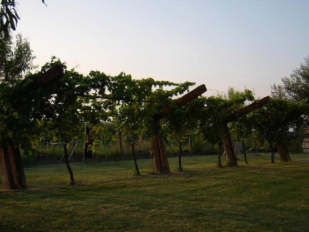 Antico Casale Dei Sogni Agriturismo Lugo  Exteriör bild
