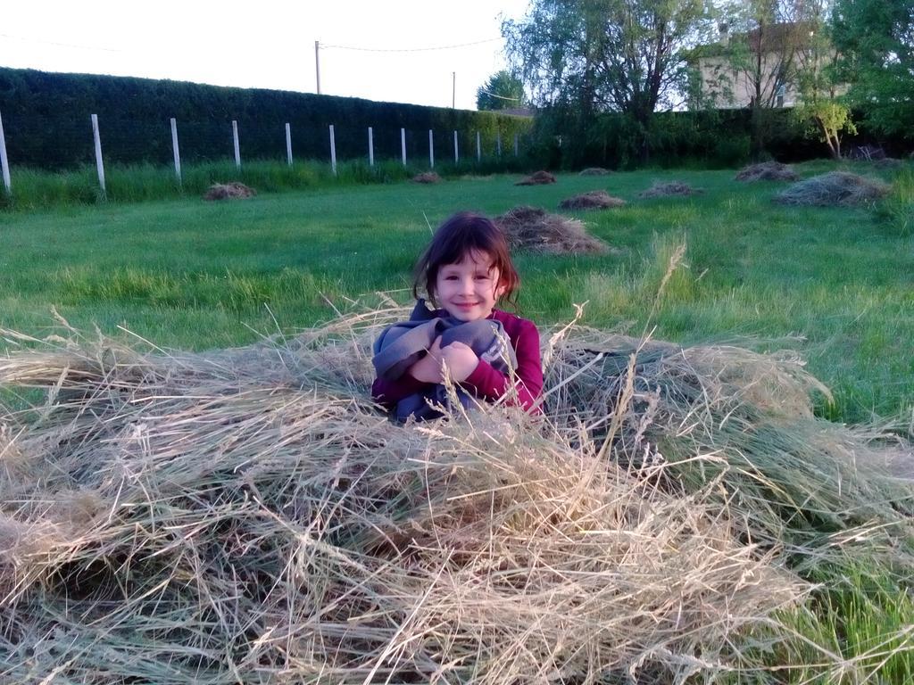 Antico Casale Dei Sogni Agriturismo Lugo  Exteriör bild
