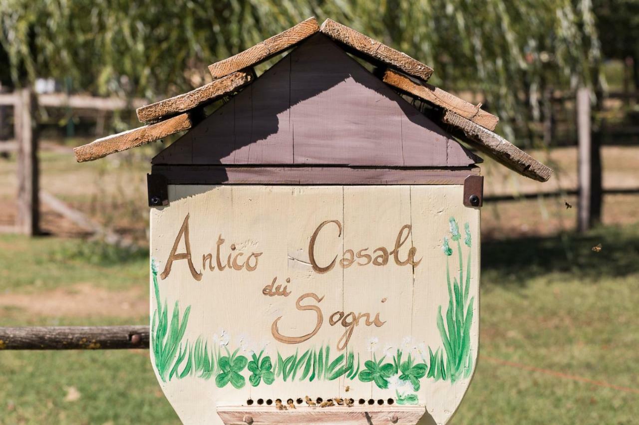 Antico Casale Dei Sogni Agriturismo Lugo  Exteriör bild